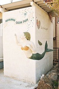 マーメイドはマリリンと命名