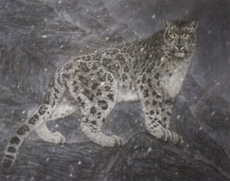 佐藤龍生「出づる（ユキヒョウ）」