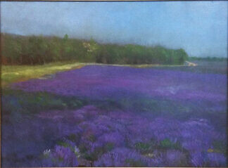 サイトウヤスヒロ「虹の畑」