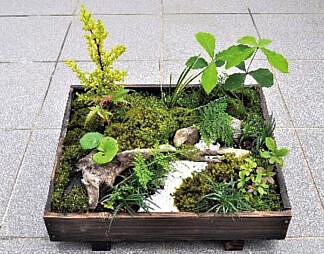 602miniature_garden-324x254.jpg